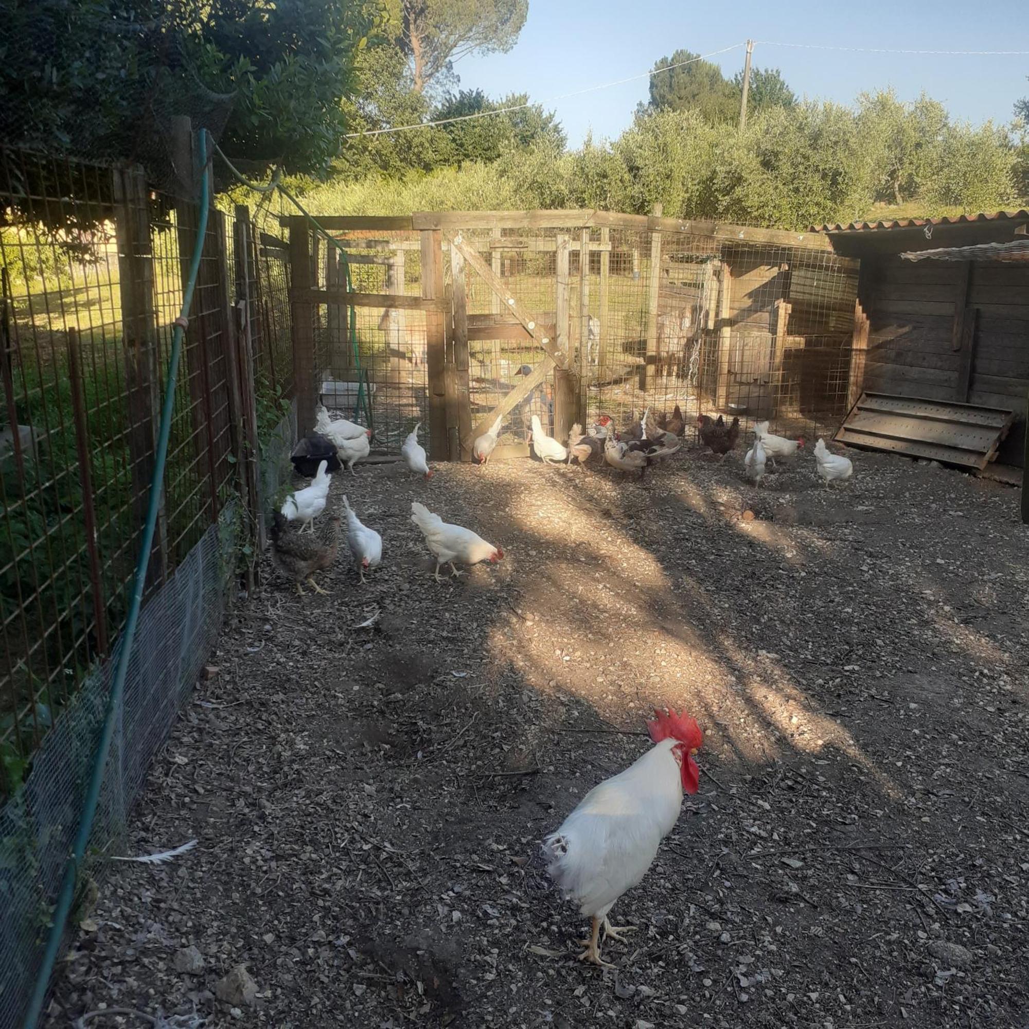 Casavacanze Baggioro Colle di Compito Bagian luar foto